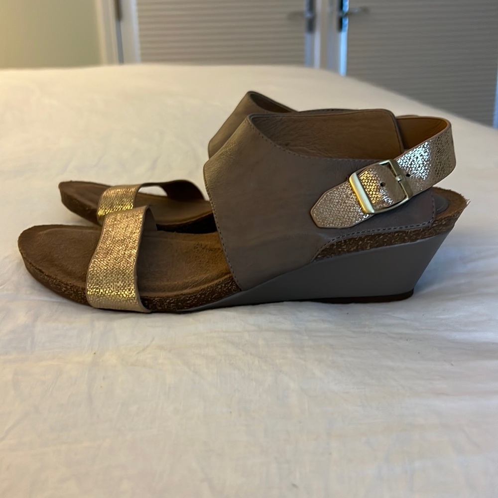 Sofft wedge